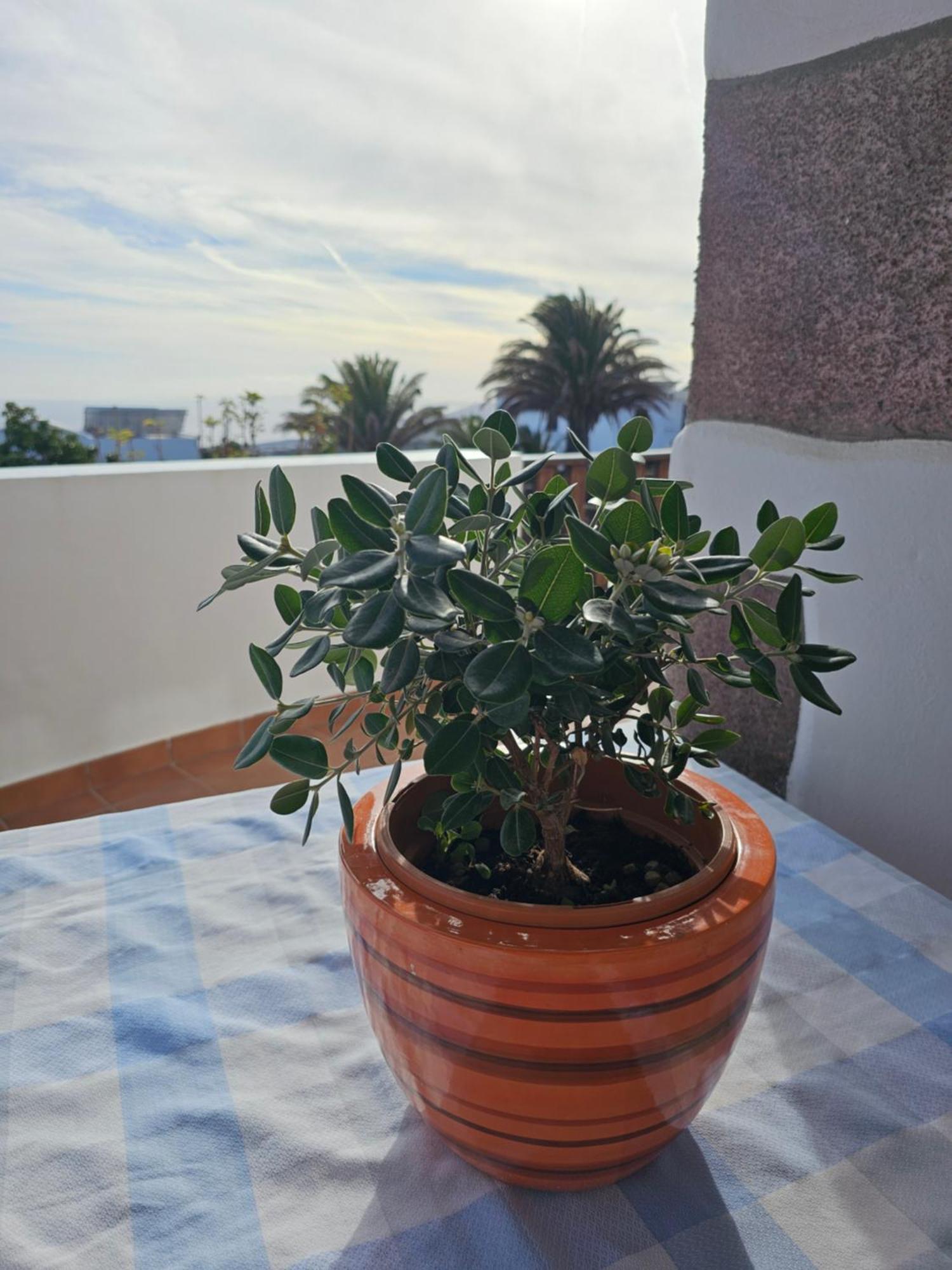 Casa Layka, Con Maravillosas Vistas Al Mar La Asomada  Dış mekan fotoğraf